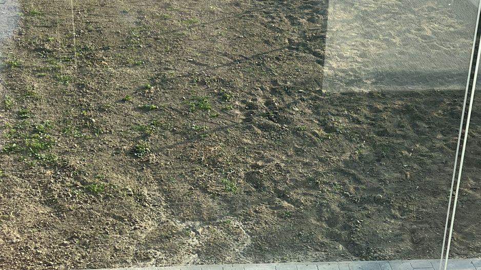 vila individuala P+M spatioasa - pret bun - Poză 16