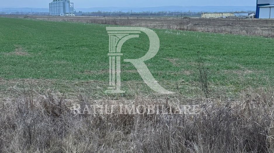 Teren de inchiriat | 20,088 ha | Sacadat | Bihor - Poză 2