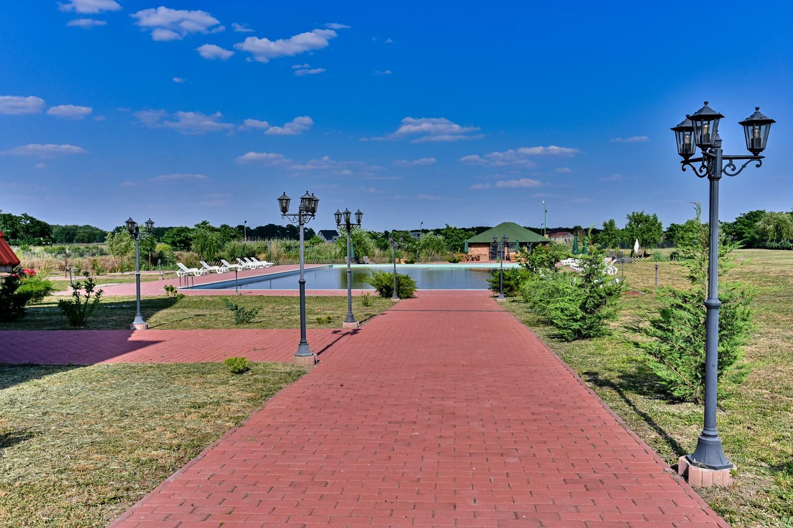 Sala de evenimente cu  piscina si foisor Biled COMISION 0 % CUMPARATOR - Poză 42