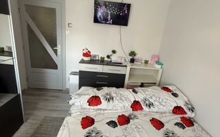 Apartament de Vanzare 2 camere COTUL--MIC(malul Timisului). - Poză 3