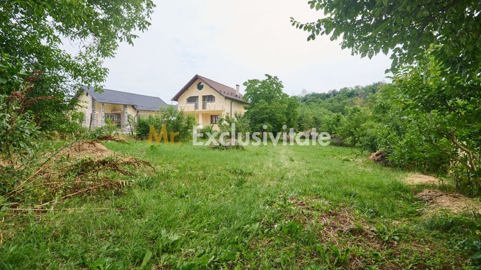 Teren 2240 mp intravilan + casa batraneasca Hintesti-Basangesti - Poză 5