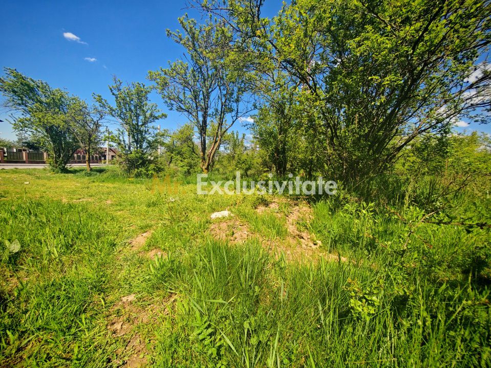 Teren intravilan 2.000 mp in Mioveni – Ideal pentru casa sau investitie! - Poză 4