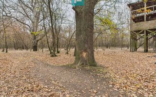 Teren pe malul Muresului- oportunitati multiple - Poză 15