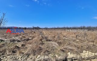 AZURA IMobiliare - Teren Iefin Bascov 3km de Giratoriu - Poză 7