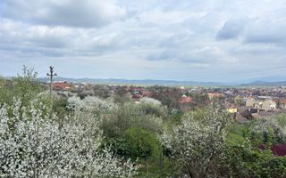 Teren | Intravilan | 855 MP - Poză 3