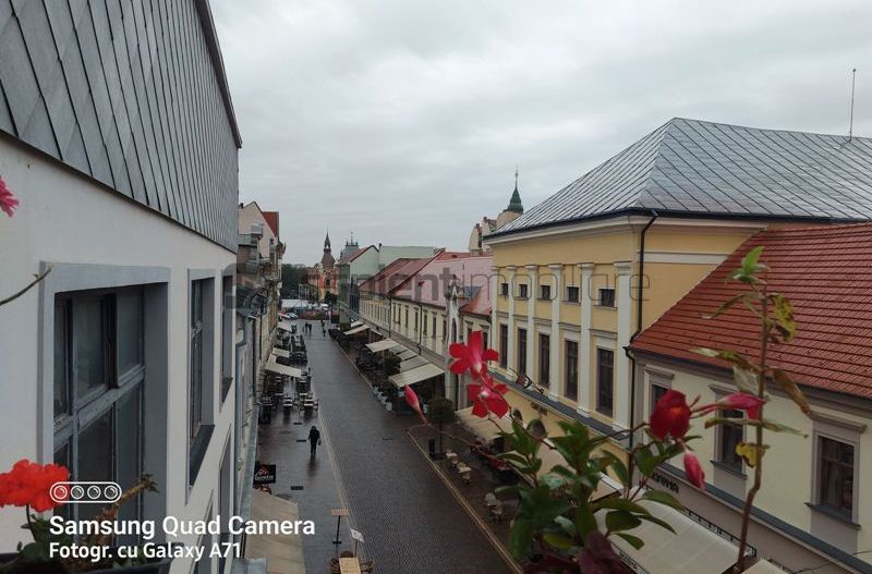 Apartament cu 4 camere str.Vasile Alecsandri - Poză 14