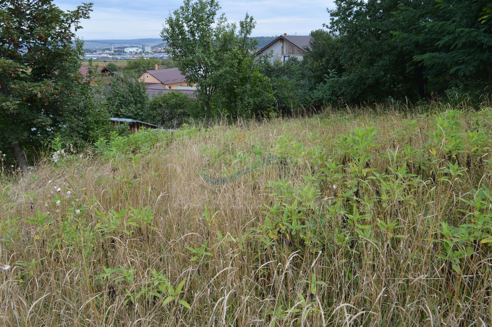 Casă de vânzare în Sfântu Ilie și teren 2000 mp - Poză 47