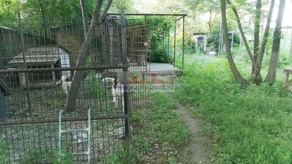 Vanzare casa conslidata Silistea Snagovului Comuna Gruiu, Ilfov Snagov - Poză 33