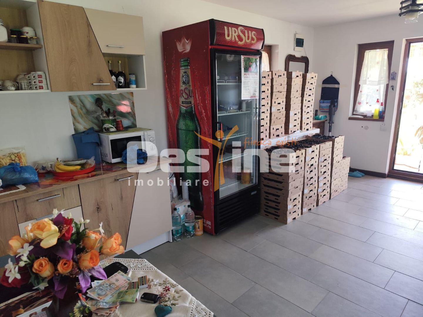 Plantatie de Muri Baicoi 10.000 mp Afacere la cheie! - Poză 4