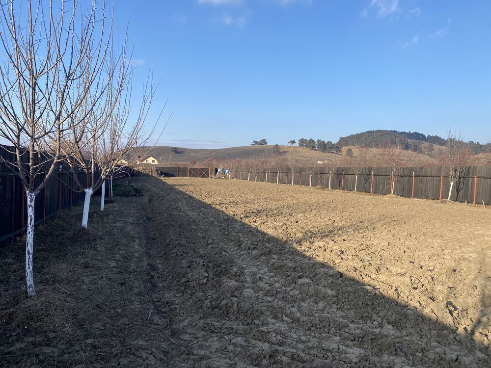 Sanpetru teren intravilan de 1350mp ingradit, 46 euro/mp - Poză 3