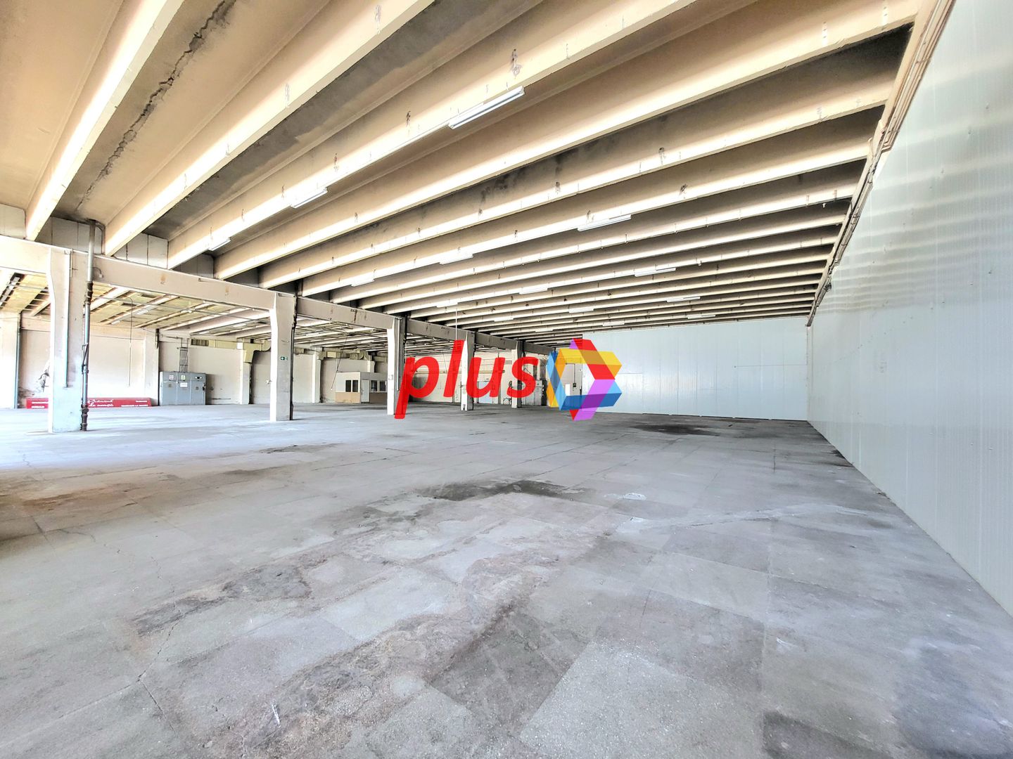 Spatiu industrial - 1229 mp  # plus-imo.ro - Poză 3