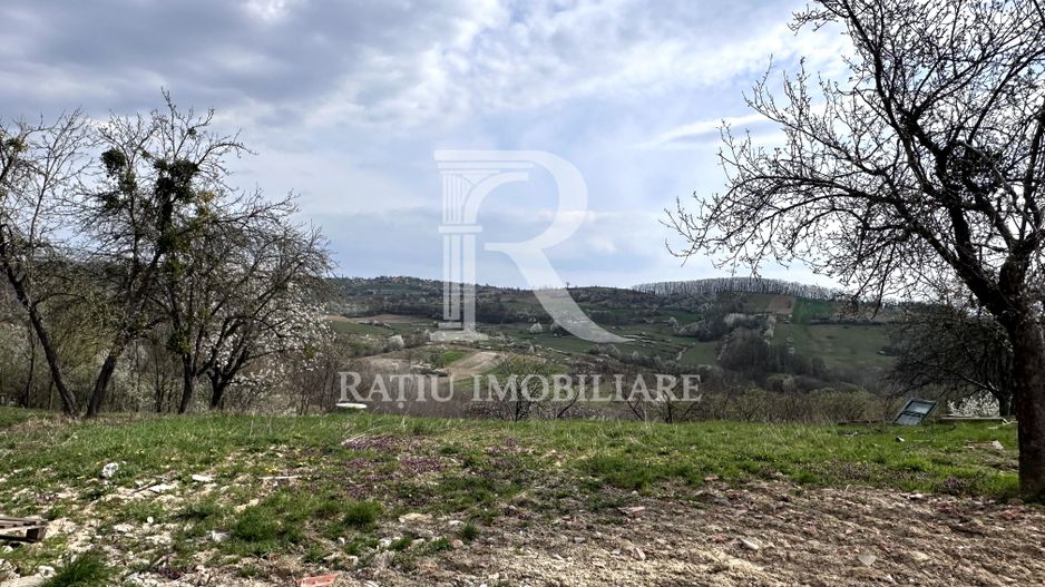 Casa cu livada | teren 2800 mp | Stracos | Bihor - Poză 10