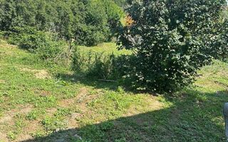 Casă tradițională cu anexă, beci și teren de 5700 mp, deschidere la drum principal, învecinată cu pădurea Bârnova, localitatea Pădureni, com. Grajduri, la 19 km de Iași - Poză 7