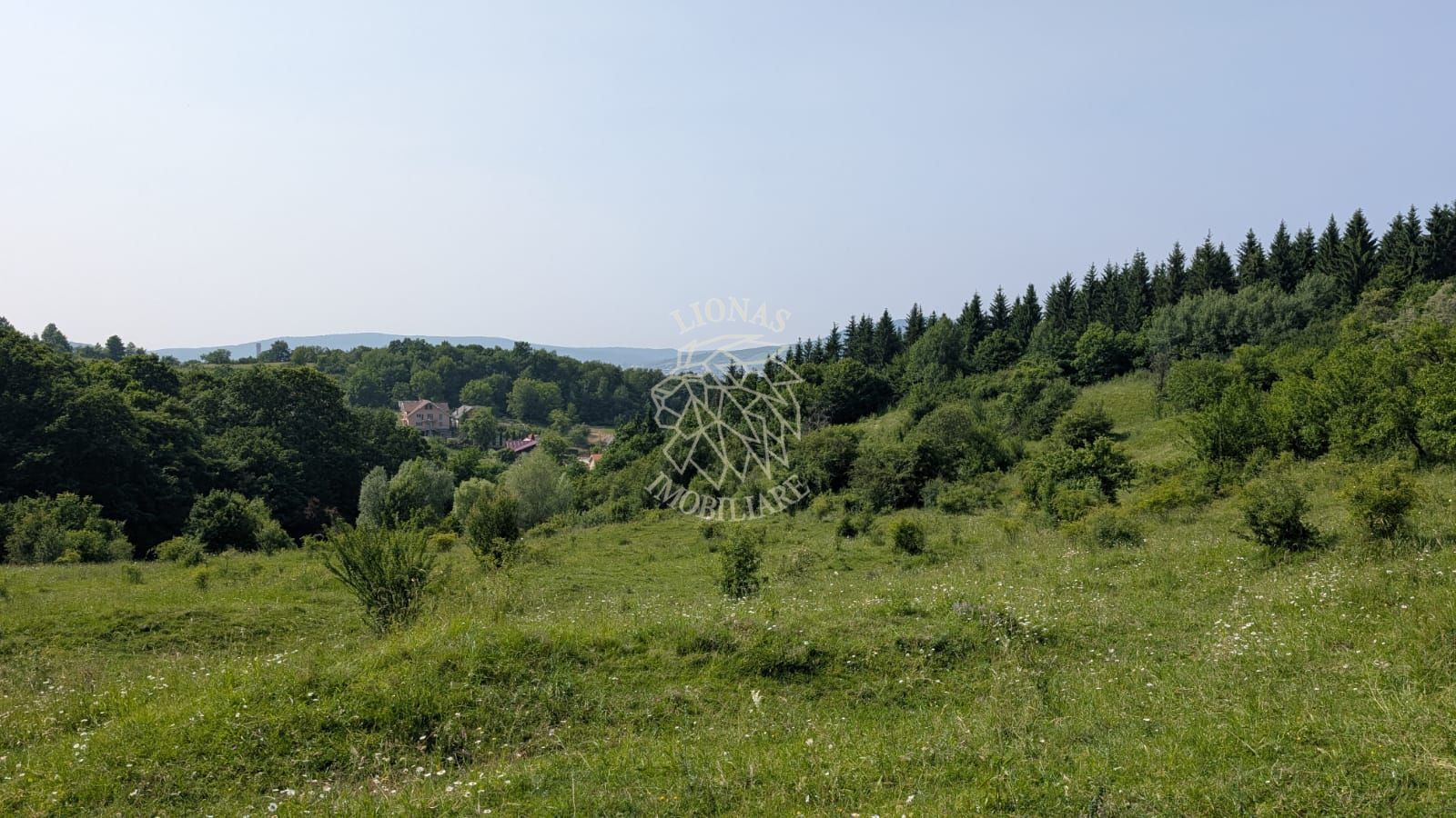 Teren 650 mp extravilan- 1,4 km de centru- ideal cabana- Oportunitate - Poză 9