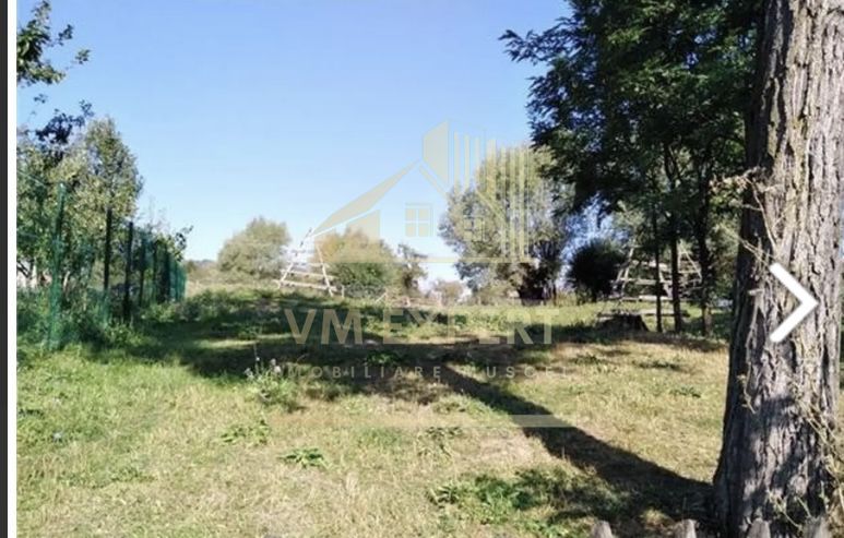 TEREN INTRAVILAN 5000 MP, BRADULET, ARGES - Poză 3