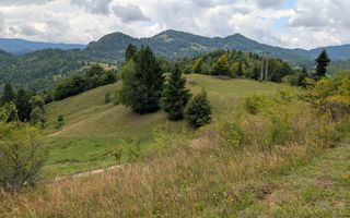 Parcele teren cu Panorama la Lac Colibita-ideal Cabana, Pensiune - Poză 8
