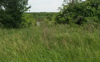 Teren Buftea cu iesire la lac - Poză 28