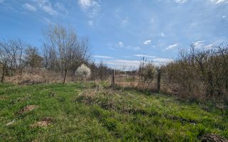 Teren intravilan Balint 22.500 mp - Poză 4