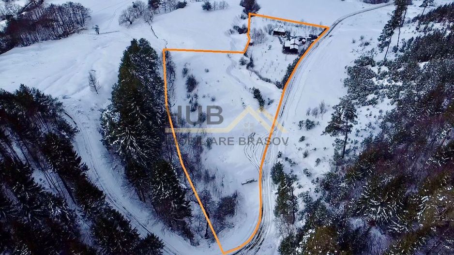 Teren cu PUZ - Tabara de Vacanta + Constructie Tiny Hous |  10 Cabane A-Frame - Poză 5