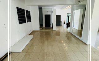 Elegant Show room spațiul de închiriat Aradul nou P+E Arad disponibil - Poză 2