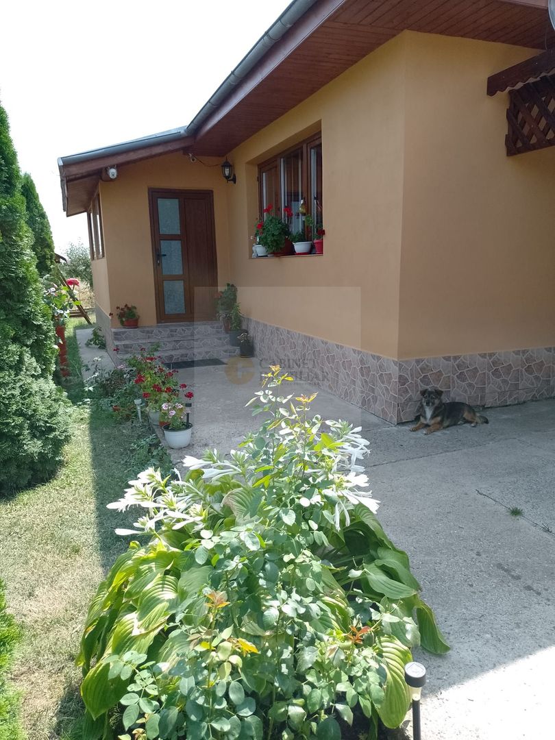 Casă de vacanță modernă cu teren generos –15min de Tecuci - Poză 28