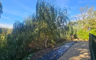 Casă și teren mare, cu ieșire la lac, lângă Mănăstirea Rebegești Crevedia - Poză 11