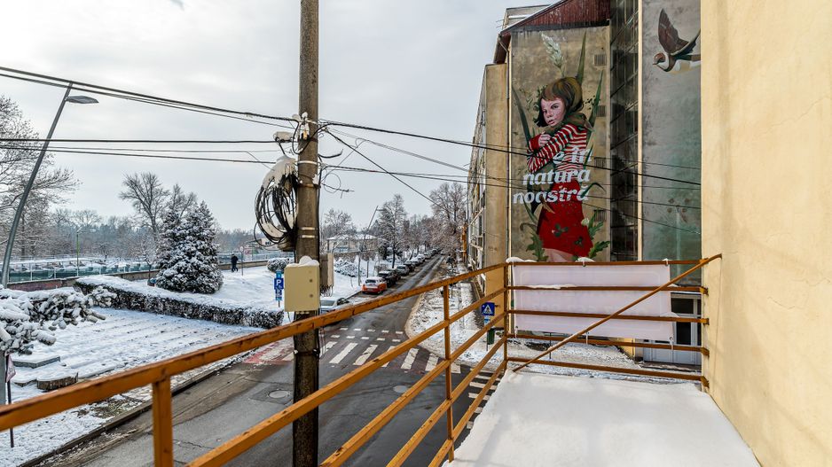 Vila individuala de exceptie Praporgescu Malul Mureșului - Poză 9