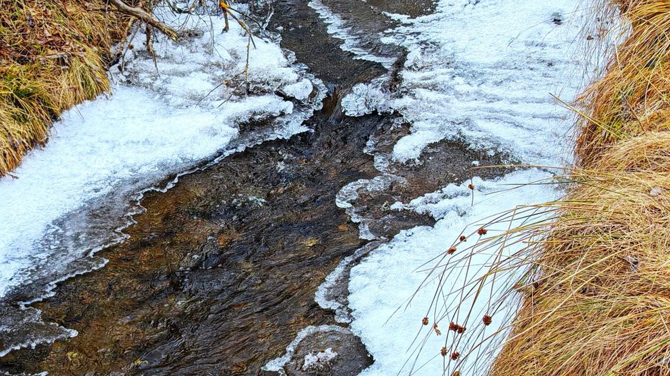 8.263 mp Teren cu Pârâu și Izvoare în Beliș-Fântânele, Cluj - Poză 2