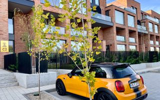 Vila urbana 3 camere | Tunari-Parc - Poză 24