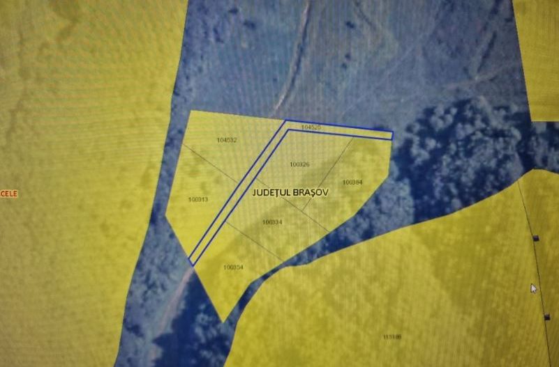 Teren Sacele - Poză 3