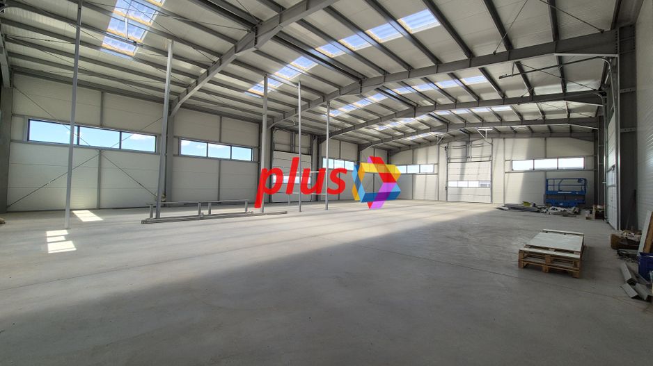 Hala - 1400 mp  # plus-imo.ro - Poză 8