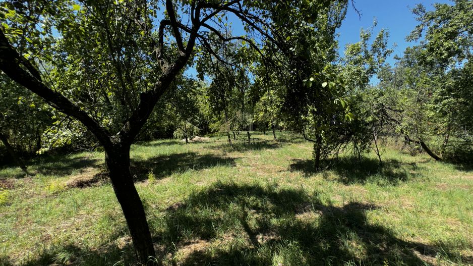 CASA 4 CAMERE CAMPULUNG, TEREN 3213 MP - Poză 28