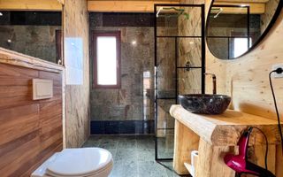 Apartament 1 camera in regim hotelier, Casa TIMIS - Poză 9