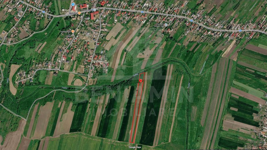 2 loturi de teren - total 9000mp - Pielesti - Poză 1