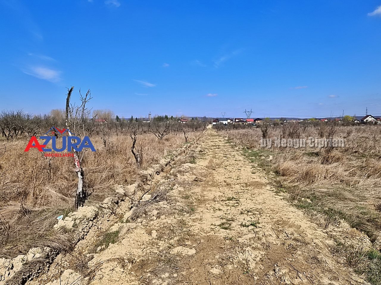 AZURA IMobiliare - Teren Iefin Bascov 3km de Giratoriu - Poză 2
