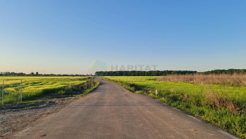 Teren | Poiana Ciolpani | Iris Orangerie - Poză 5