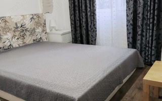Inchiriere apartament Teiul Doamnei - Poză 3
