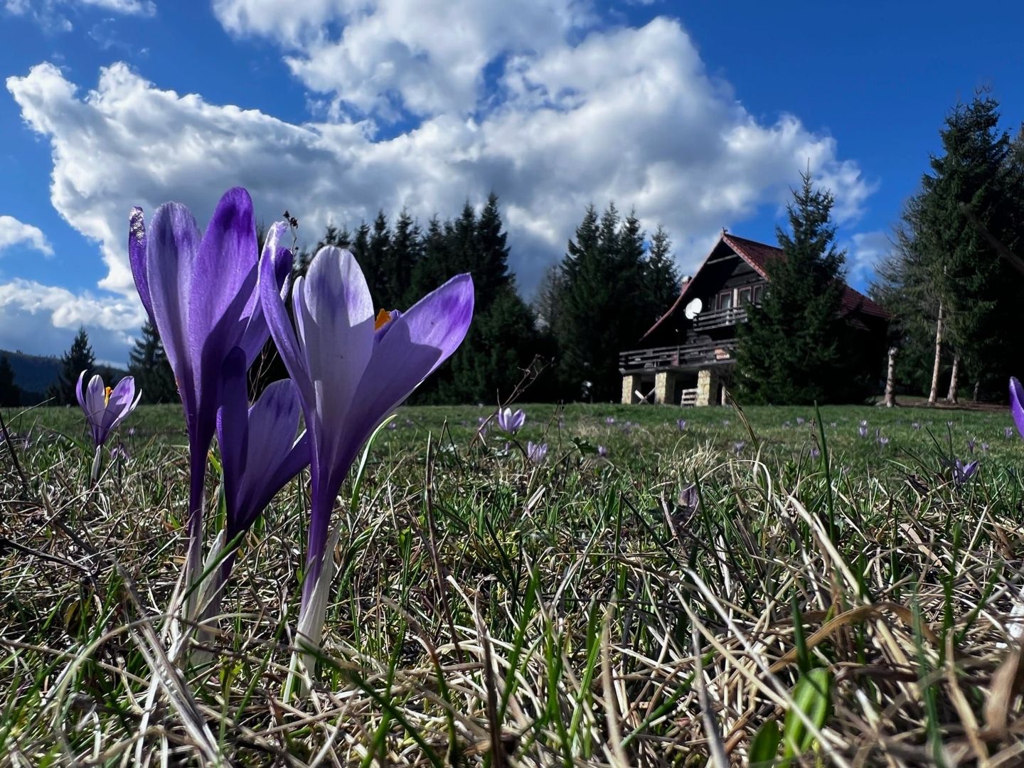Cabana Exclusivista de vanzare in Belis - Cluj + 14.715 mp teren - Poză 1