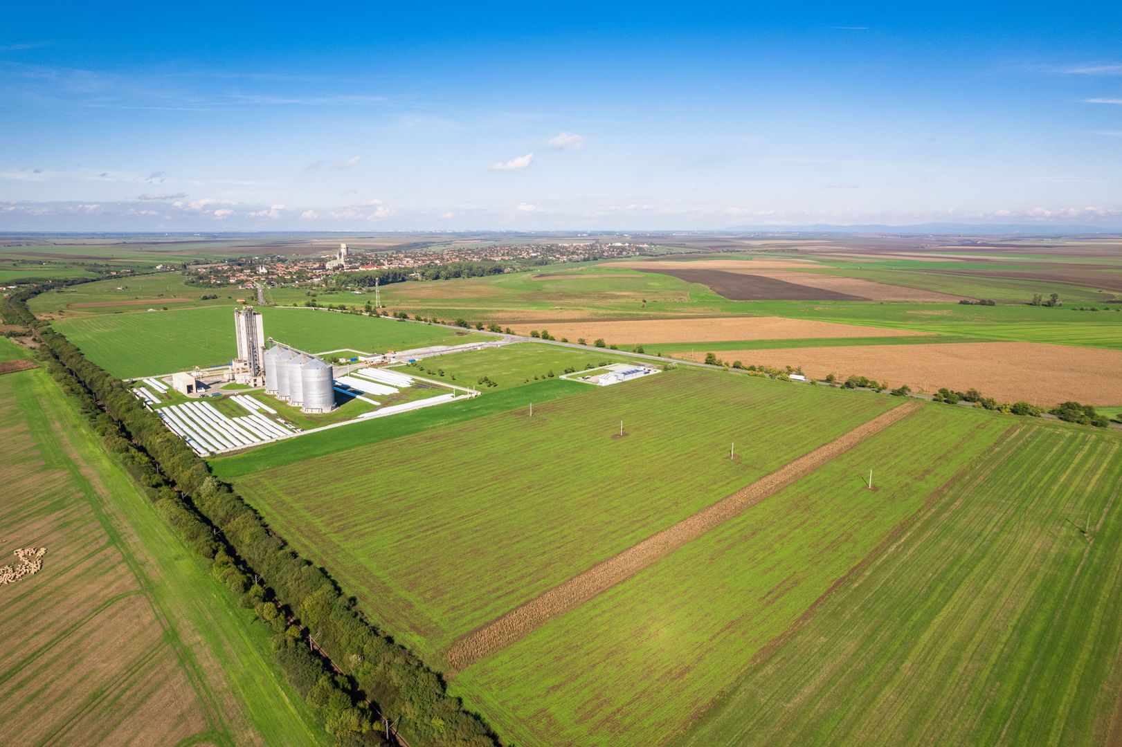 Teren de 104000 mp în Vinga - Poză 5