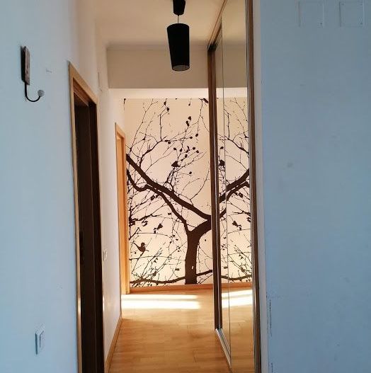 Apartament 3 camere Kiseleff, parcare subterană, vedere parc, bloc 2011 - Poză 11