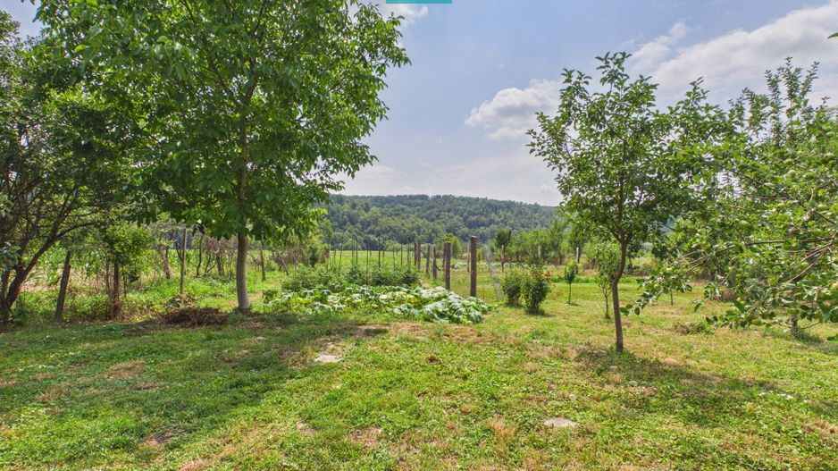2 case cu teren de 2253 mp în Archiș - Poză 13