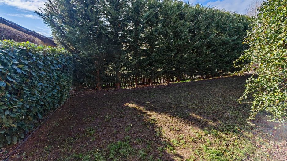 Vila S+P+M cu teren generos Dumbravita - Poză 33