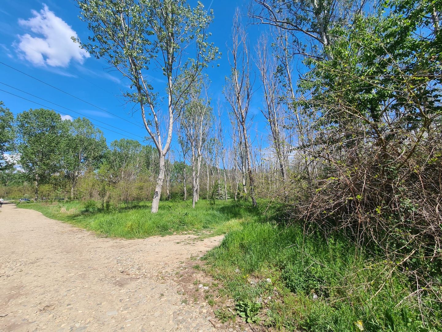 Teren de vanzare / Dem Radulescu - Poză 6