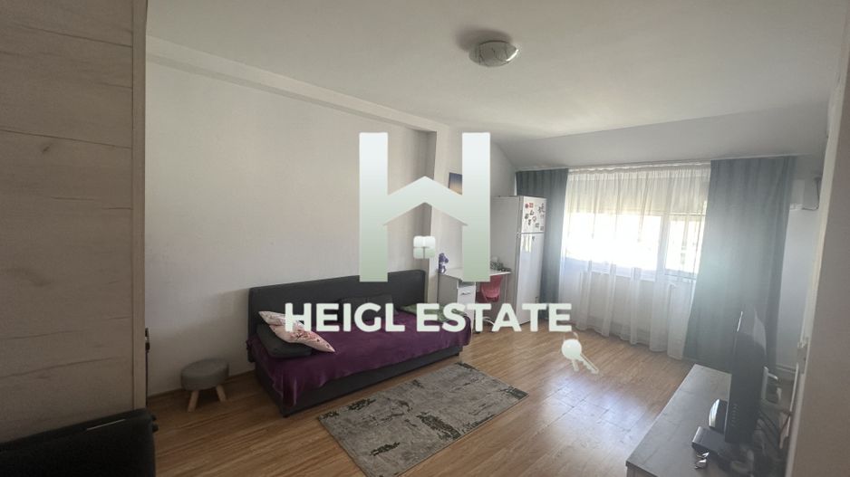 Apartament cu 1 camera in zona Lipovei - Poză 5