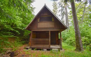 Casă / Vilă de vânzare în Nord, Sfantu Gheorghe - Poză 1