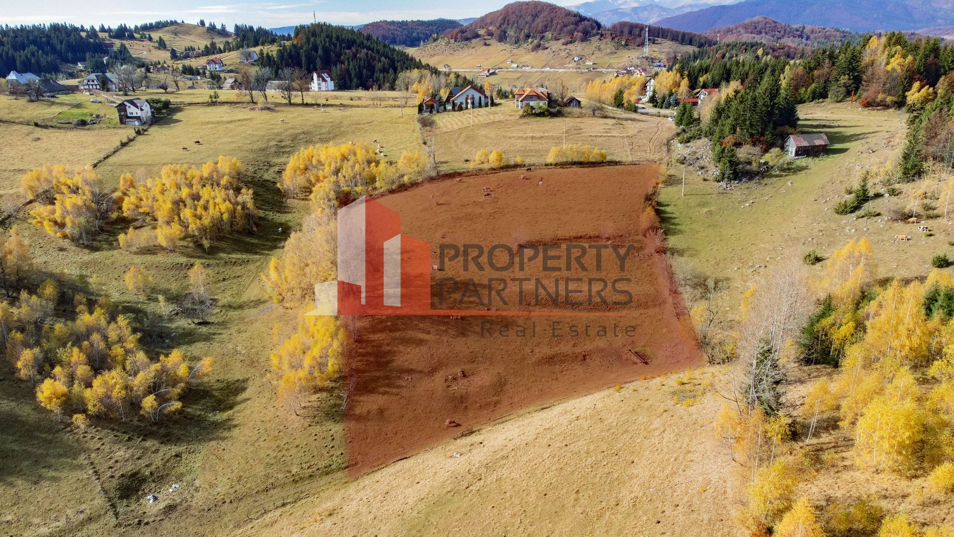 Teren cu PUZ aprobat Fundata / priveliste superba - Poză 3