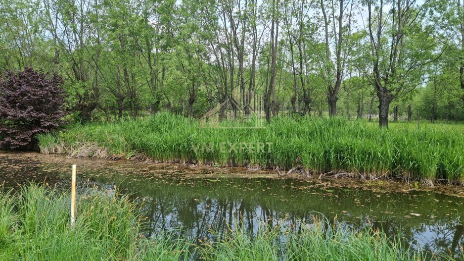 CASA 3 CAMERE, TEREN 6200 MP + 2 LACURI, CAMPULUNG, NAMAIESTI - Poză 37