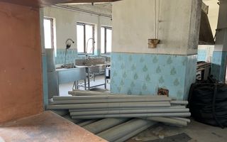 Pensiune sau Sediu de Birouri | 35 Ari | Iacobesti - Poză 11