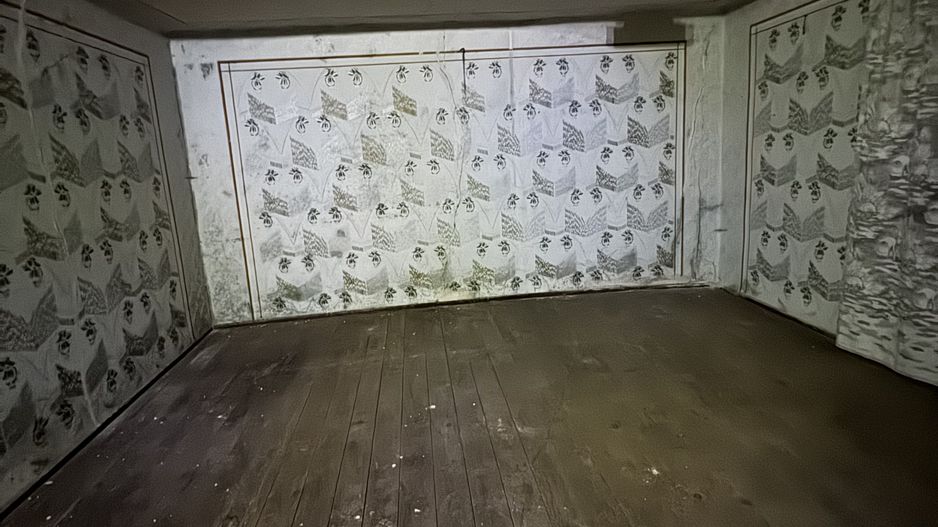 Casa batraneasca de vanzare in Tartaria - Poză 7