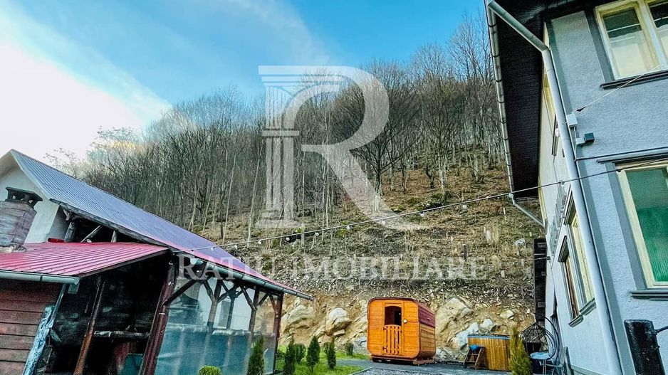 PENSIUNE DE ÎNCHIRIAT | REMEȚI | BIHOR | CIUBĂR & SAUNĂ - Poză 8